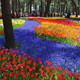 Illustration for article titled A never-ending ocean of 4.5 million flowers in Japan